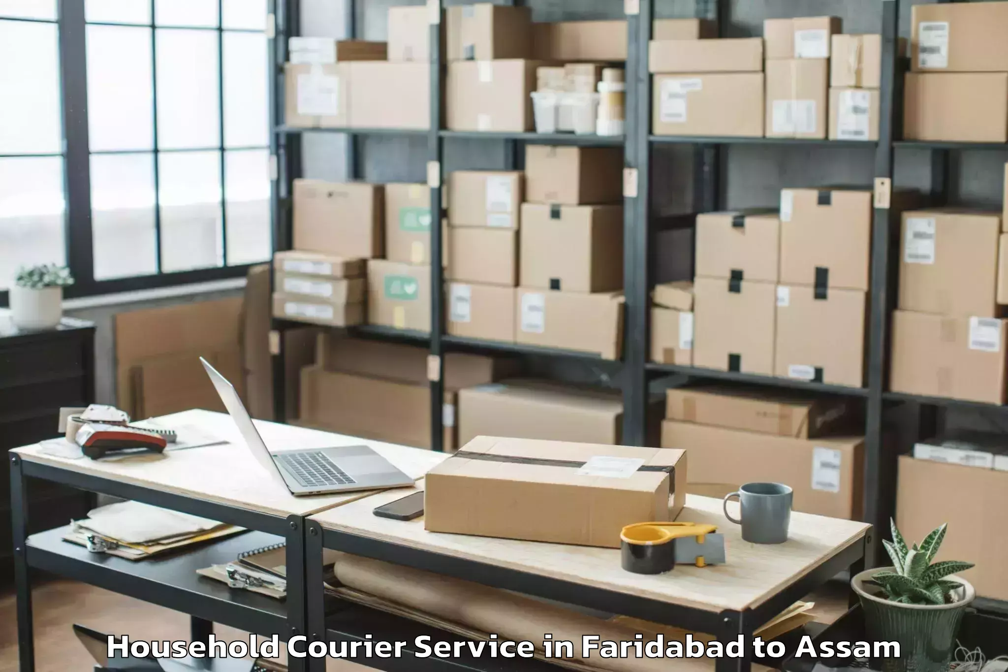 Hassle-Free Faridabad to Jamugurihat Household Courier